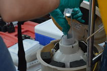 Preserve samples with liquid nitrogen